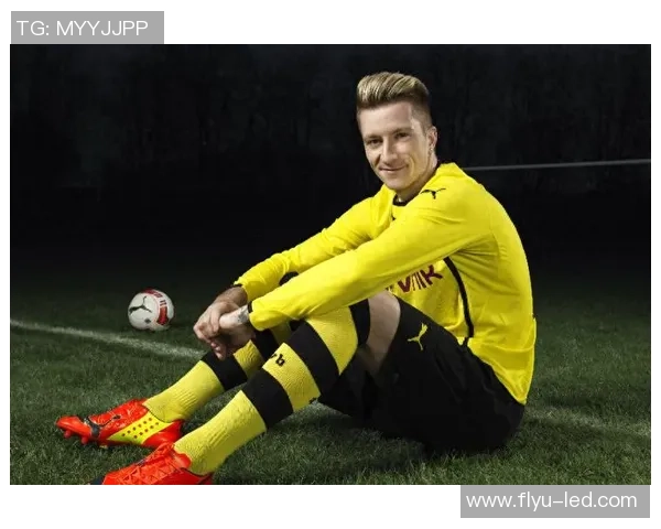 德国足球传奇:退役巨星的辉煌生涯